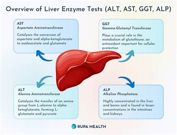 How Can You Lower Your Liver Enzymes?