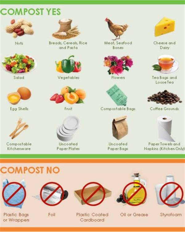 How Can You Tell If Compost Is Bad?