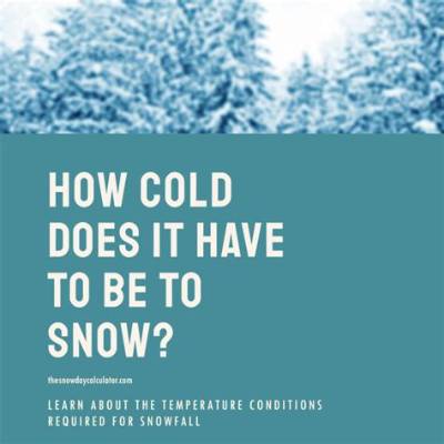 How Cold Does It Have to Be to Legally Not Work?