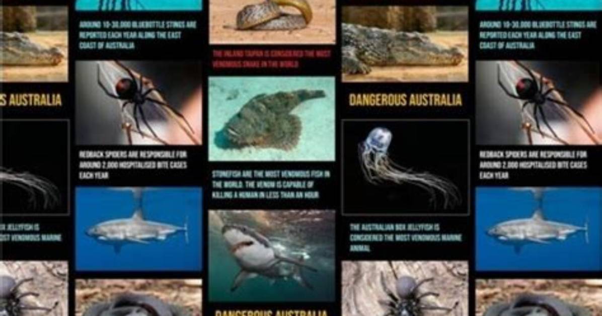 How Dangerous Is Australia - Lisbd-Net. Com