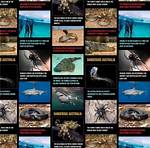 How Dangerous Is Australia - Lisbd-Net. Com