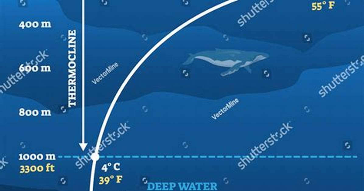 How Deep Is the Thermocline?
