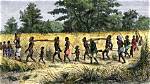 How Did Enslaved People Spread African Culture