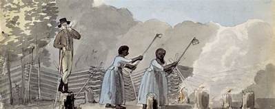 How Did Slavery Contribute to the Fall of Rome?