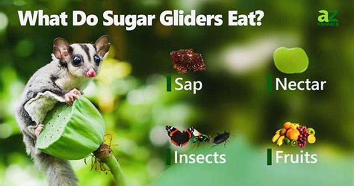 How Do Animals Store Sugar