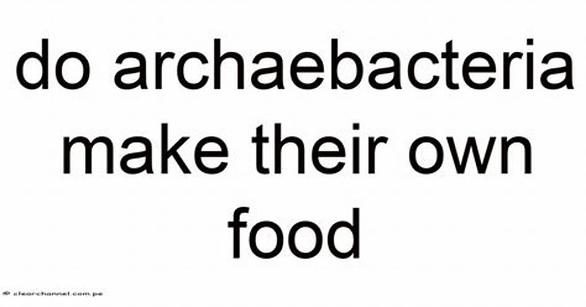 How Do Archaebacteria Get Food