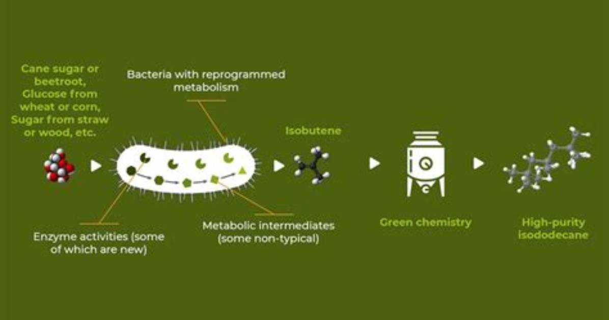 How Do Bacteria Get Rid of Waste