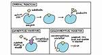 How Do Competitive Inhibitors Stop a Chemical Reaction?