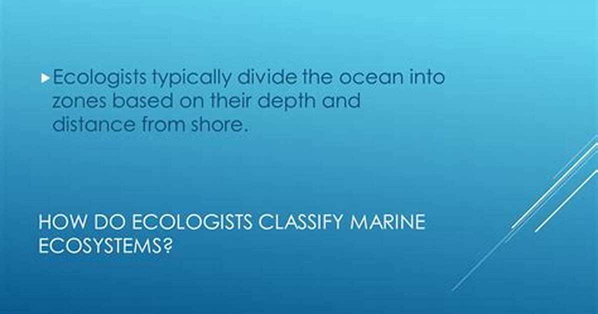 How Do Ecologists Classify Aquatic Ecosystems