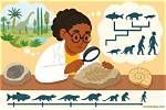 How Do Fossils Help Prove That the Continents Move?