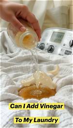 How Do I Add Vinegar to My Rinse Cycle?