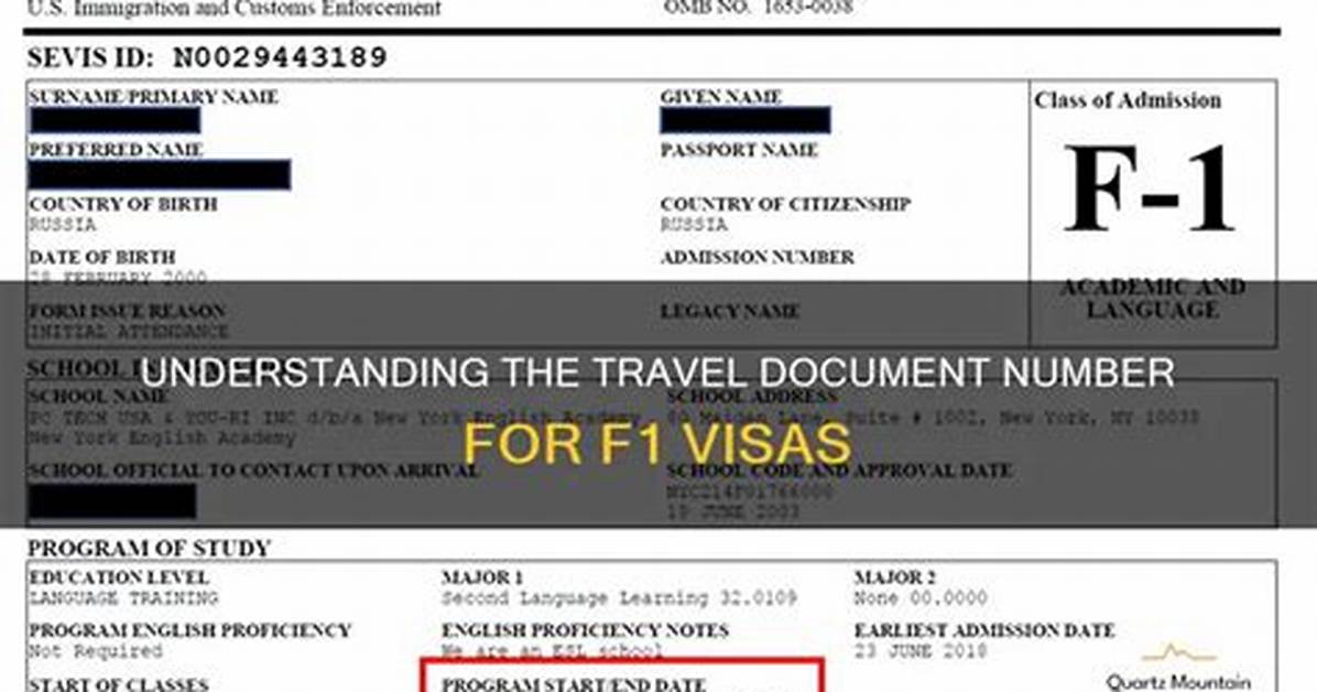 How Do I Answer F-1 Visa Questions?