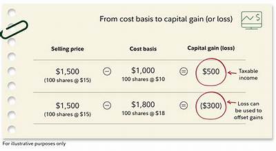How Do I Calculate the Basis for My Shares of an S Corporation?