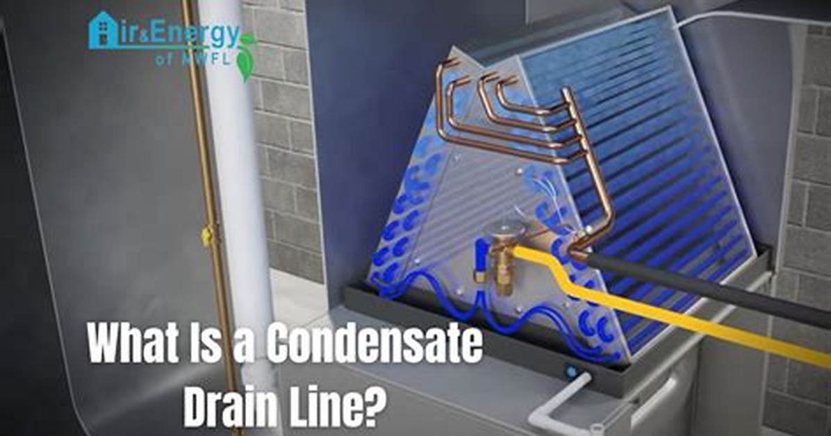 How Do I Check Condensate Drainage on a Bryant