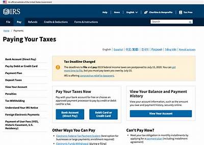 How Do I Classify Irs Payments in Quickbooks?