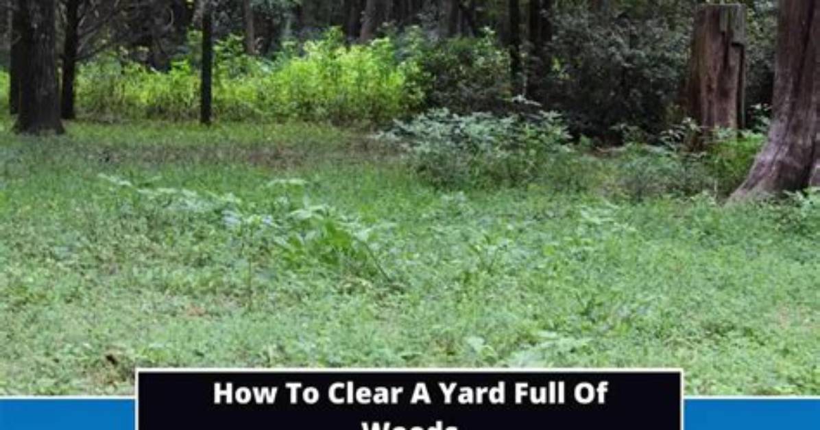 How Do I Clear My Yard Full of Weeds?