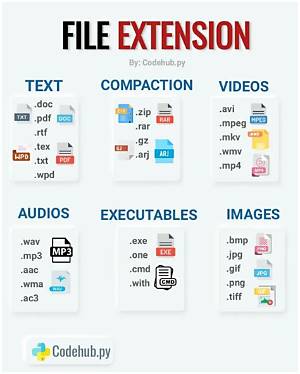 How Do I File an Extension with 1120-S?
