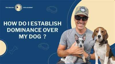 How Do I Gain Dominance over My Dog?