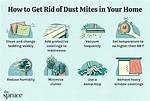 How Do I Get Rid of Loud Crickets Outside?
