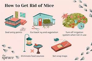 How Do I Get Rid of My Timeshare Owner?