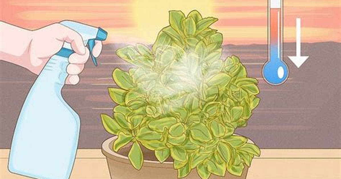 How Do I Give My Plants Iron?