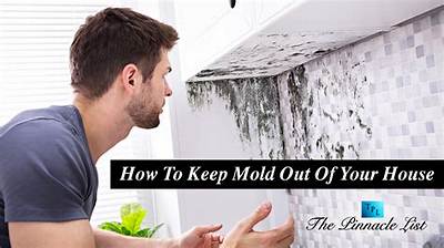How Do I Keep Mold out of My Summer House?