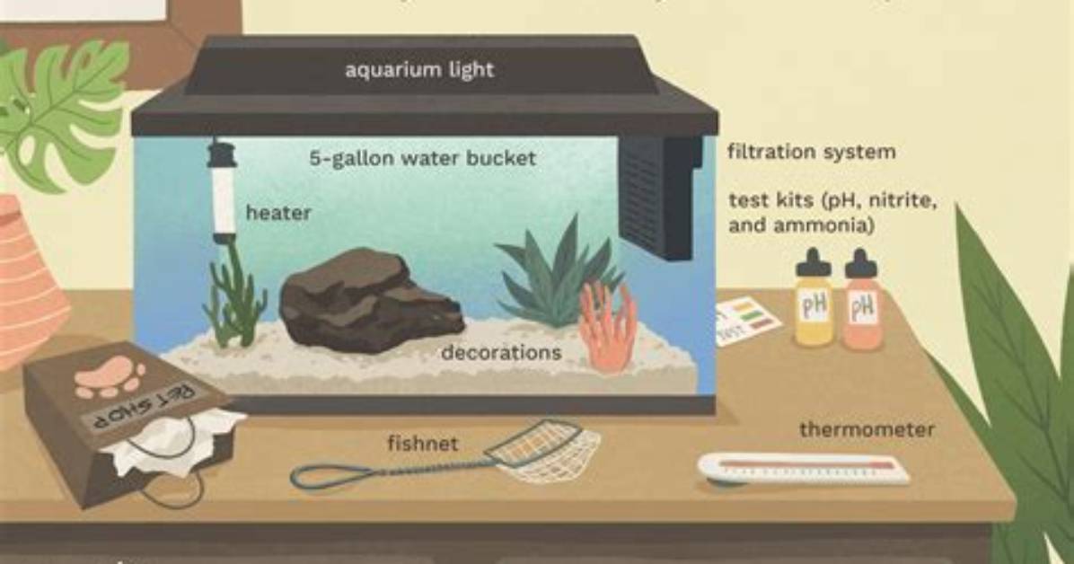 How Do I Know If My Aquarium Water Is Good?