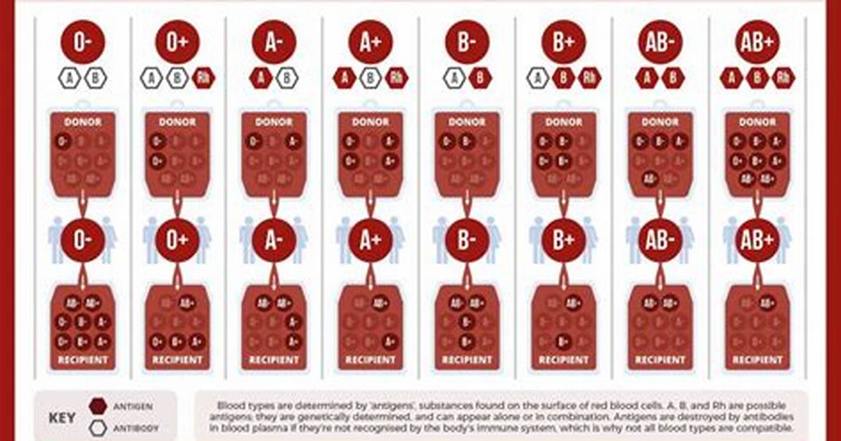 How Do I Know If My Blood Pressure Machine Is Accurate?