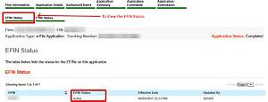 How Do I Know If My Efin Is Active?