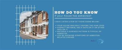 How Do I Know My House Has Fleas?