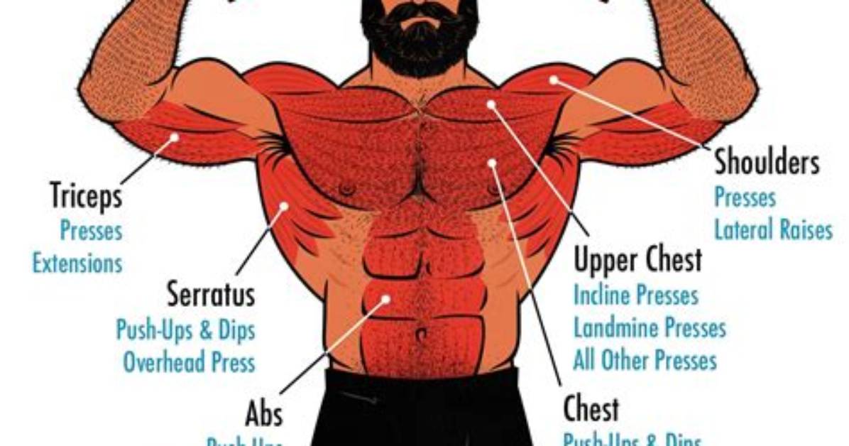 How Do I Know My Muscles Are Growing?