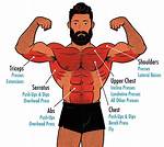 How Do I Know My Muscles Are Growing?