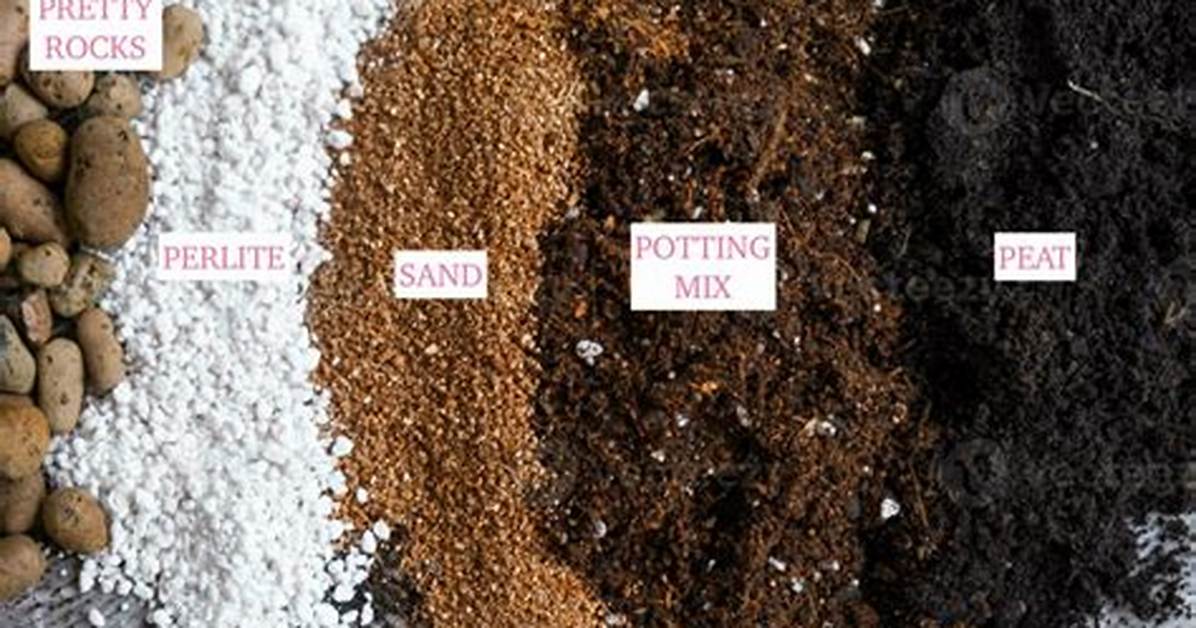 How Do I Make My Soil Light and Fluffy?