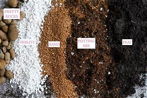 How Do I Make My Soil Light and Fluffy?