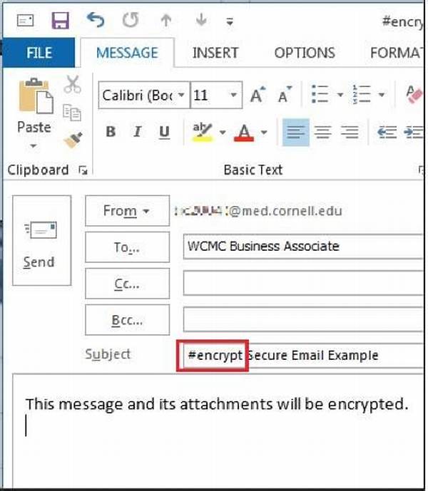 How Do I Manually Encrypt a Message?