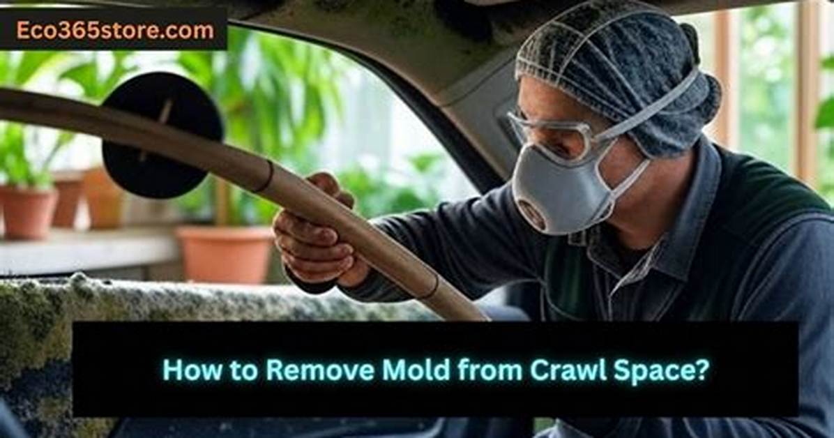 How Do I Remove Crawl Space Mold And