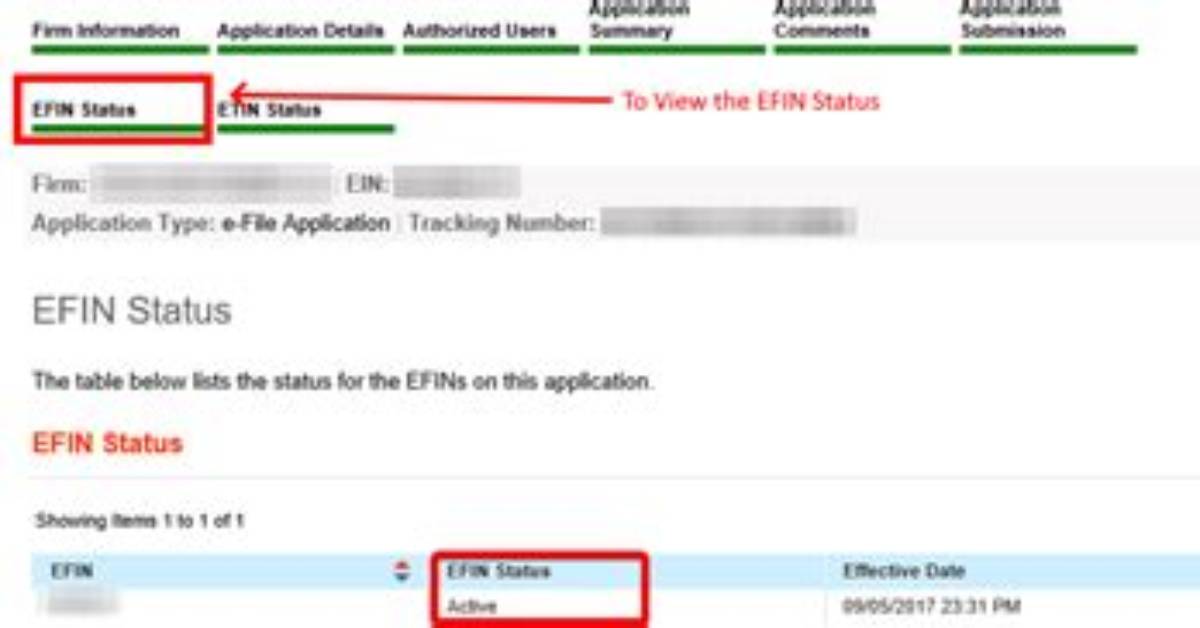 How Do I Renew My Efin Number?