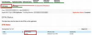 How Do I Renew My Efin Number?