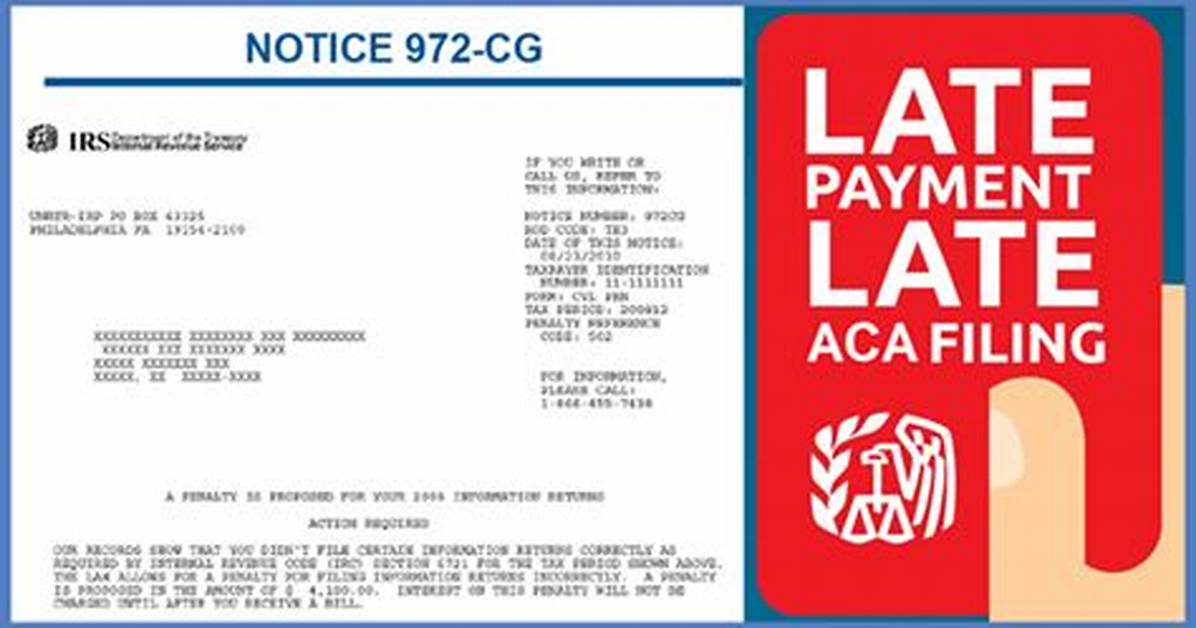 How Do I Respond to Irs 972Cg?