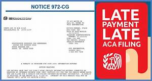 How Do I Respond to Irs 972Cg?