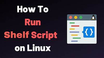 How Do I Run a Shell Script?