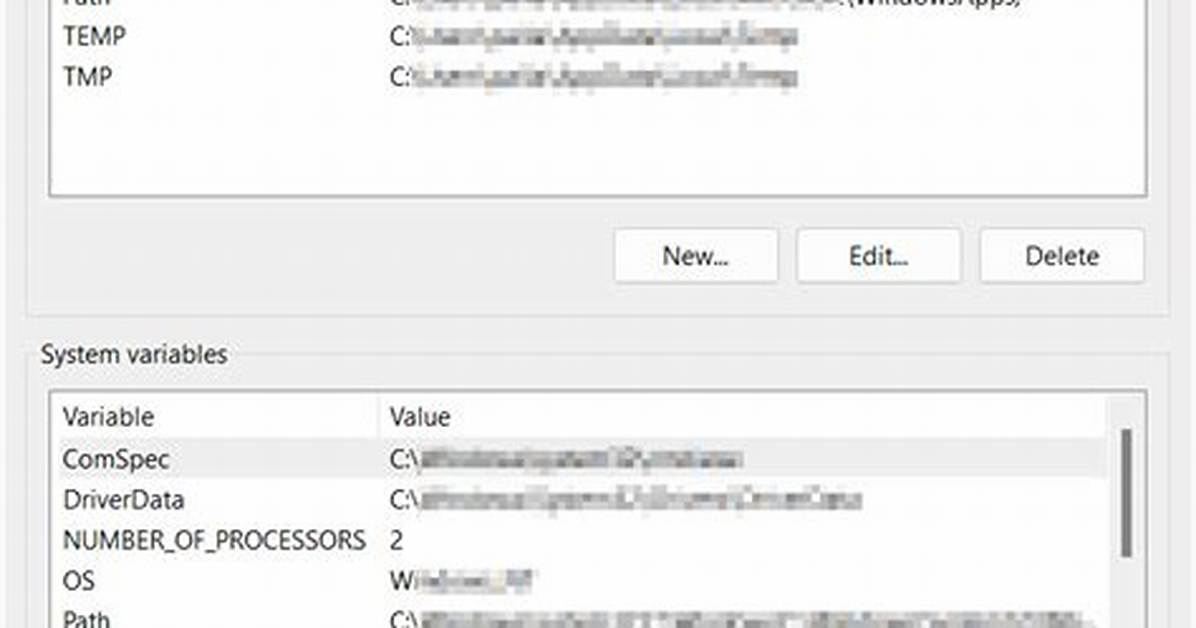 How Do I See Environment Variables in Bash?
