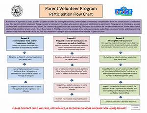 How Do I Start a Volunteer Organization?
