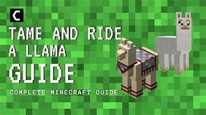 How Do I Tame a Llama in Minecraft