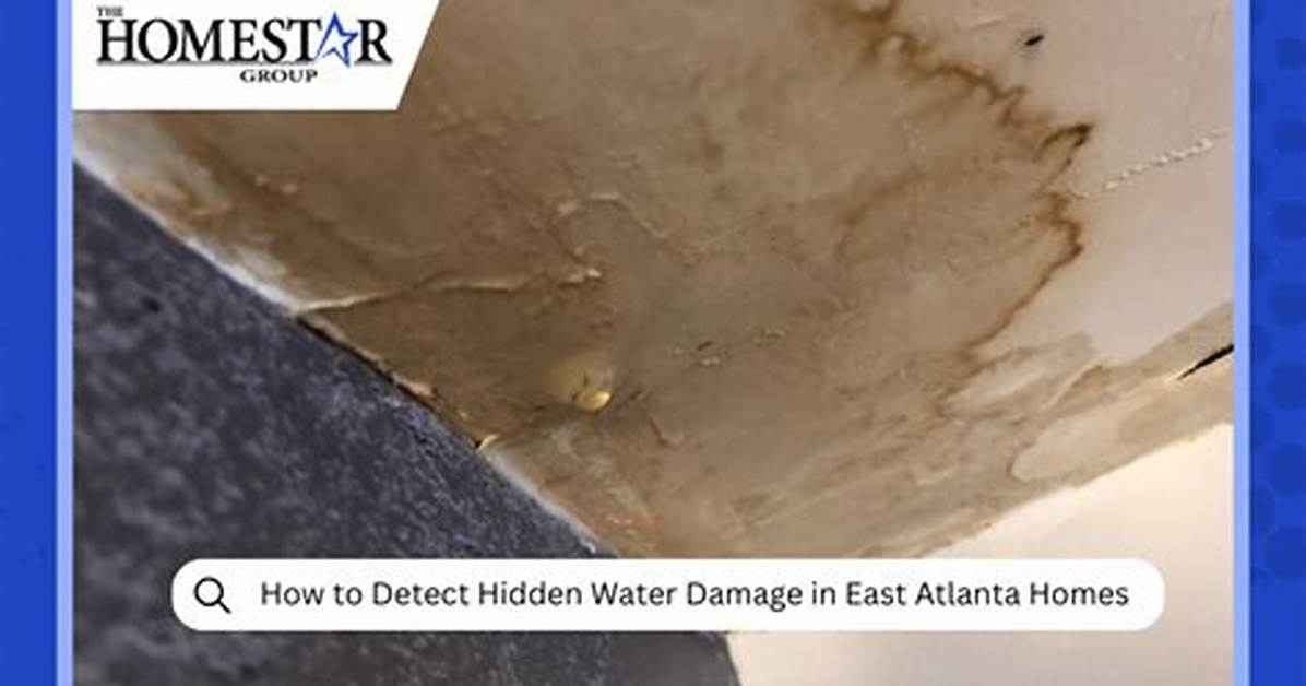 How Do I Test for Water Damage in Dry