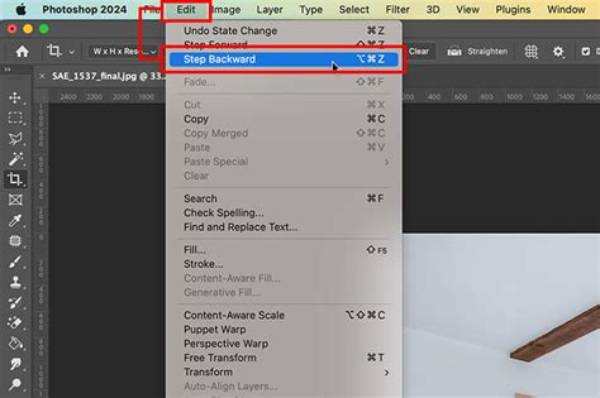 How Do I Undo an Edit?
