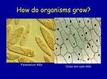 How Do Organisms Grow - Lisbd-Net. Com