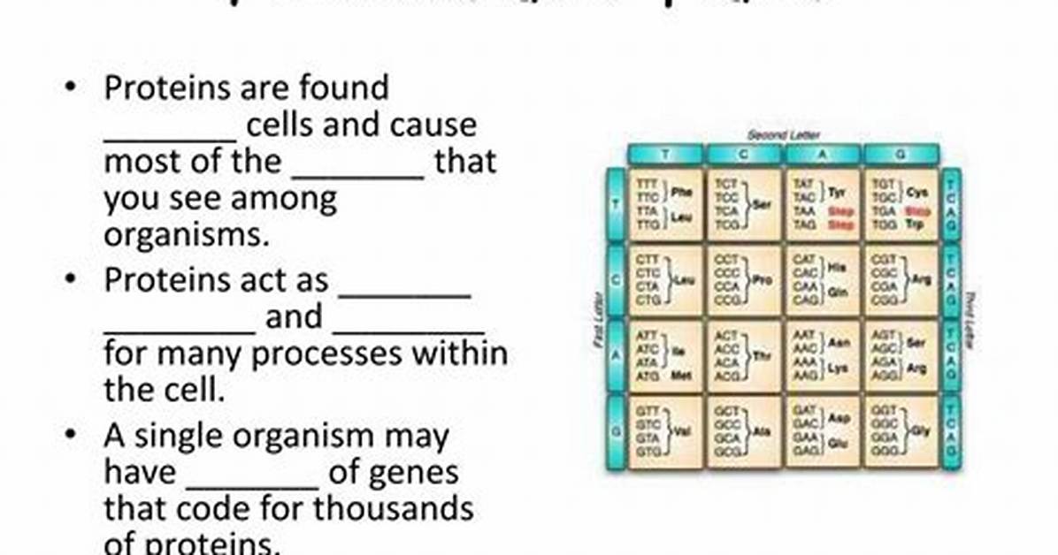 How Do Proteins Determine Traits