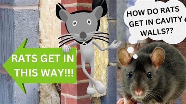 How Do Rats Get into Cavity Walls?