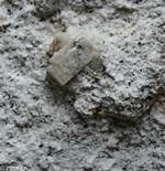 How Do Trachyte Form?